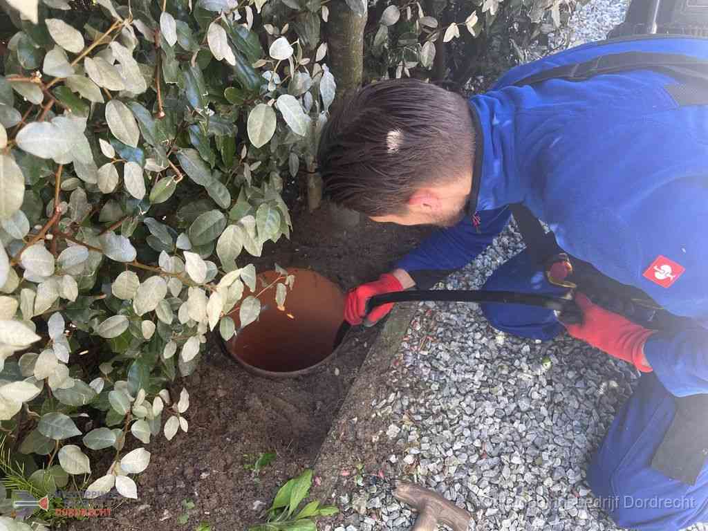 Rioolvliegjes Dordrecht Rioolvliegjes Dordrecht